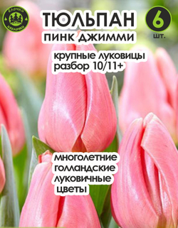 Тюльпан Луковица, Пинк Джимми, 6 шт, разбор 12+