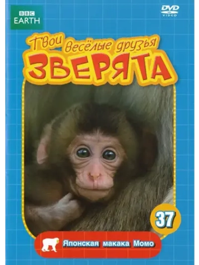 BBC: Японская макака Момо (КИНО USB)