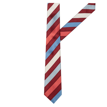 Галстук Daniel