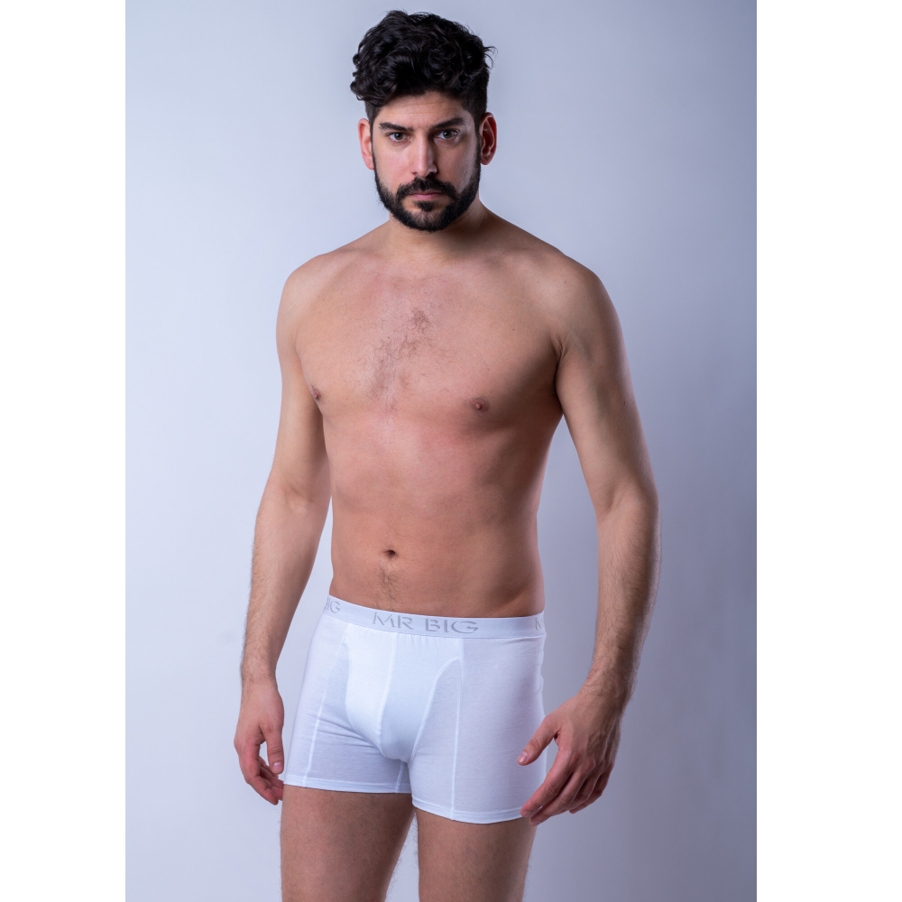 Мужские трусы боксеры белые MR. BIG MB201 white