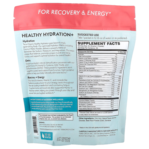 Terra Origin, Healthy Hydration+, Lemonberry Wave, добавка On the Go, 30 пакетиков по 6,2 г (0,22 унции)