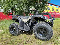 Квадроцикл PROMAX ATV 250 (2025)