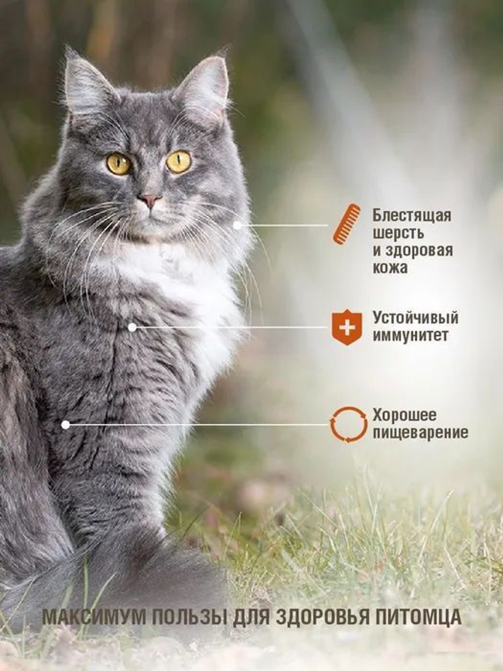 Корм для кошек сухой DARSI Sensitive, для кошек с чувствительным пищеварением, с индейкой, 10 кг