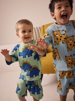 Пижама для мальчика Next AC0-925, 3 шт., Голубой, Зеленый, Песочный