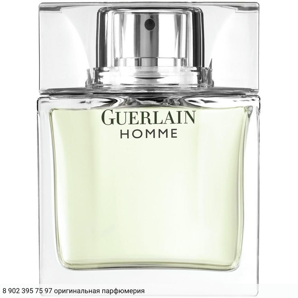 Homme