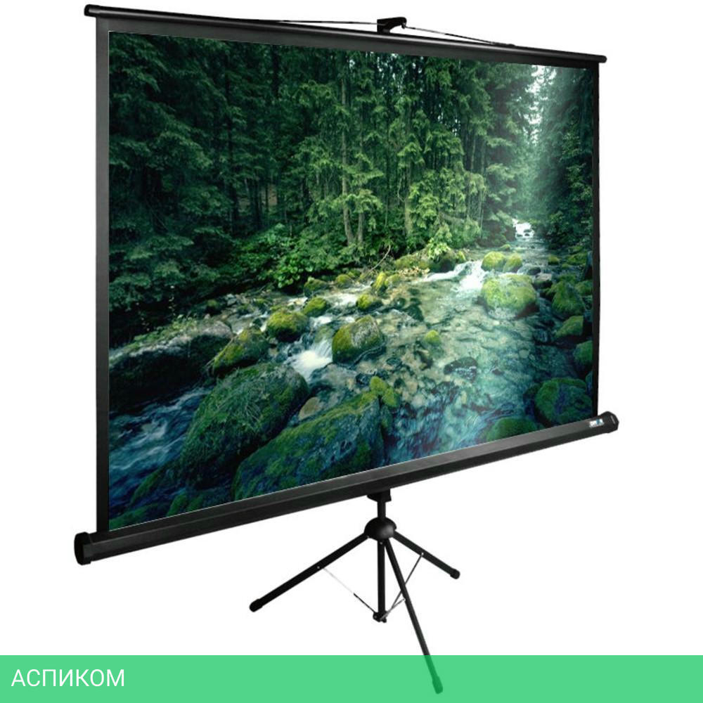 Проекционный экран Cactus CS-PSTE-220х165-BK