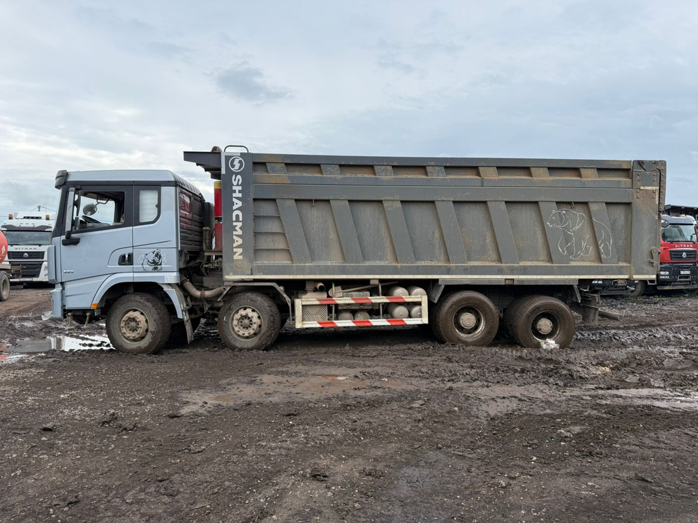Shacman (Shaanxi) SX* 8x4 Самосвал SX331863366 (Дизельный, 12,5 л, 544 л.с., МТ)