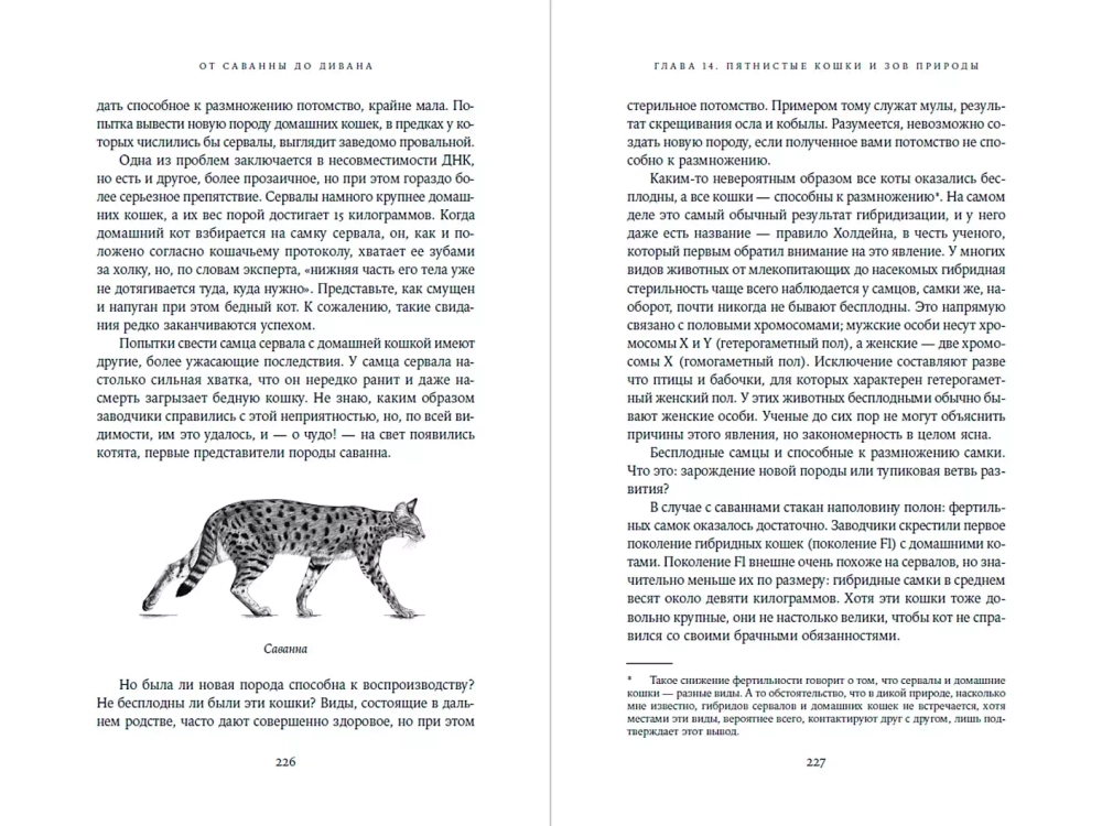 От саванны до дивана