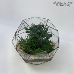 Композиция "Кассиопея"