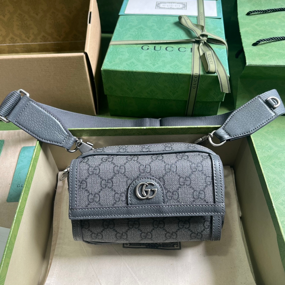Gucci Ophidia GG Mini 20 cm
