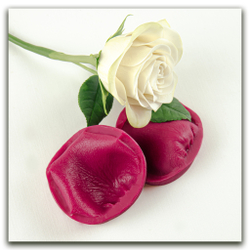 Лепесток розы бокаловидной