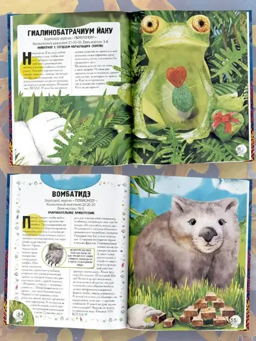 Поразительные животные, которые выглядят как пришельцы