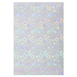 Картон цветной Апплика, А4, голографический, фольгинированный, 5 листов, 5 цветов, картонная папка, "Лев"