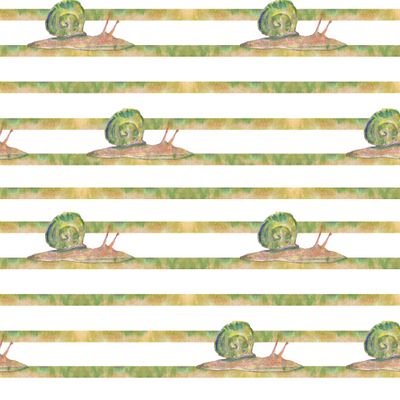 улитки на полосках