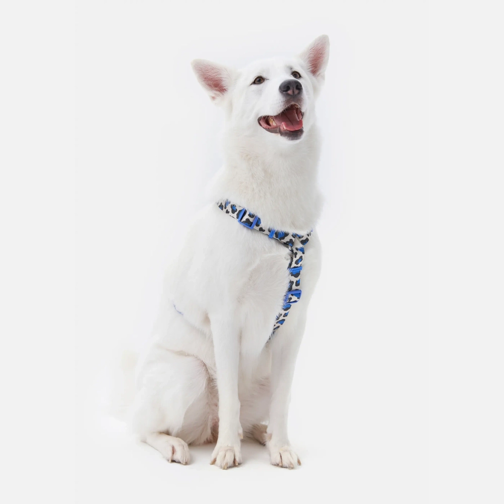 Анатомическая шлейка Midnight Safari