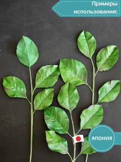 Полимерная глина CLAYCRAFT BY DECO, самоотвердевающая, цвет Зеленый, 55 гр