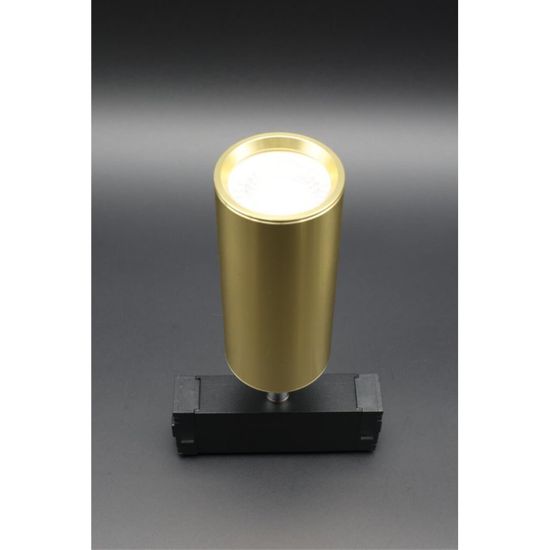 Светильник трековый APL.0209.10.01