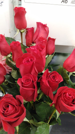 Индивидуальный заказ 1.01