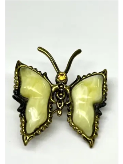 Бронзовая брошь на янтаре