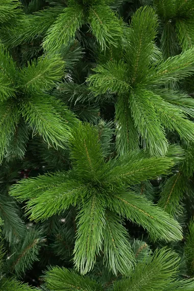 Искусственная елка Каспийская 300 см., литая хвоя + ПВХ, ЕлкиТорг (257300)