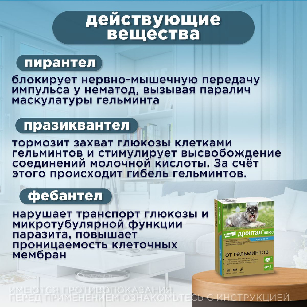 Таблетки для собак от гельминтов и лямблий со вкусом мяса Дронтал плюс , 2 таблетки в упаковке. Фебантел/Пирантел/Празиквантел