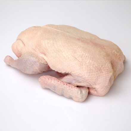 Гусь фермерский