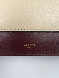 Сумка Celine Tri Color Python and Leather Pocket