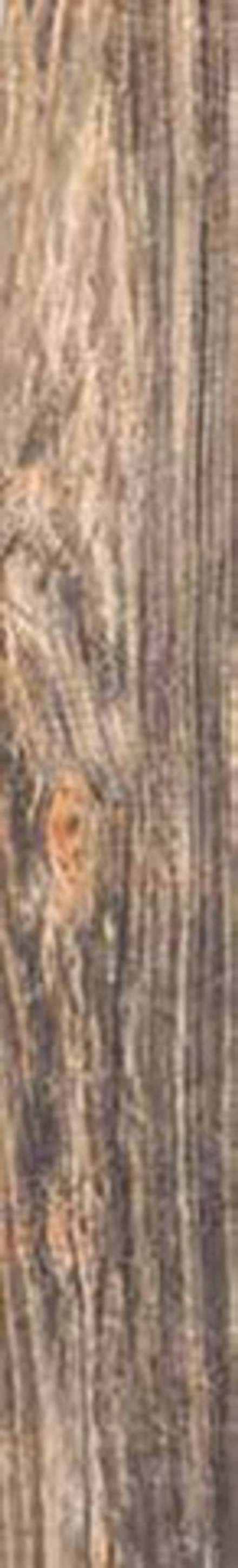 Керамогранит INWOOD BLACK