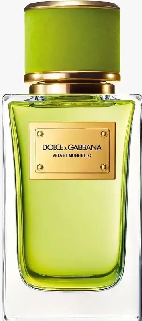 D&G VELVET MUGHETTO EDP 100 ML