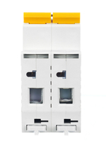 KARAT Автоматический выключатель ВА47-29 2P C 16А 4,5кА IEK