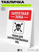 Табличка для частной территории "Запретная зона", на дом, для участка, организаций и частных территорий, предупреждающая, 40х30 см, Silver Plane x Айдентика Технолоджи