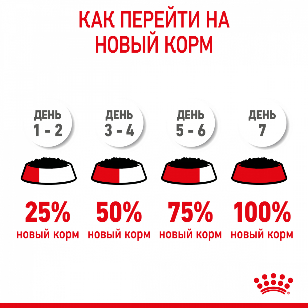 Косервы ROYAL CANIN Kitten Gravy для котят в возрасте до 12 месяцев, кусочки в соусе, 85 гр