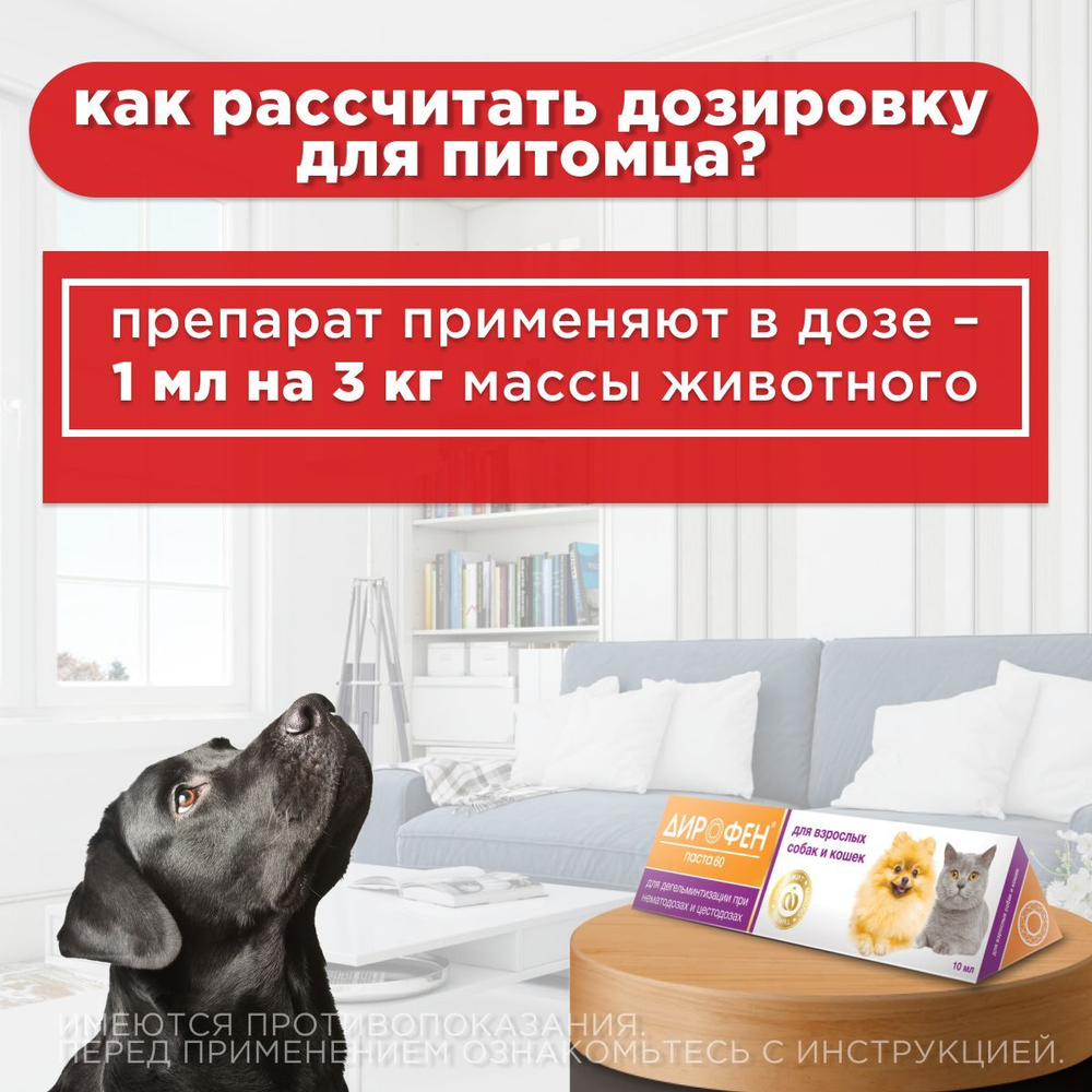 Паста от гельминтов Дирофен-60 для взрослых собак и кошек, 10мл