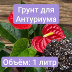 Грунт для Антуриума, 2 литра