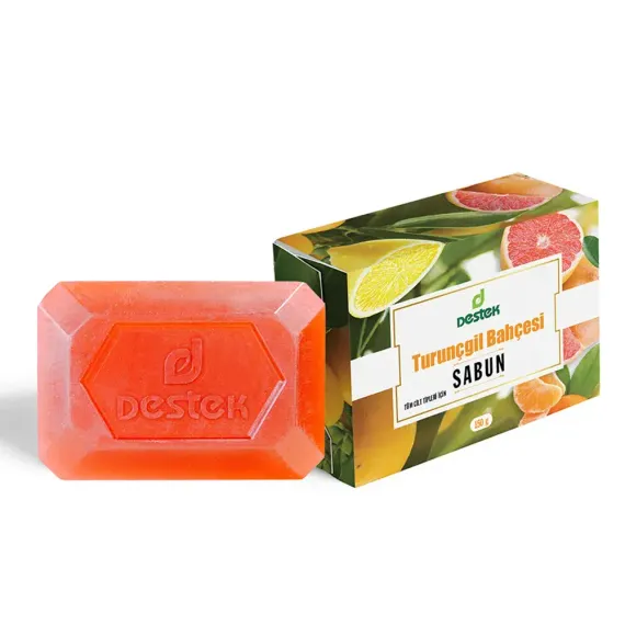 Мыло DESTEK Цитрусовый Микс