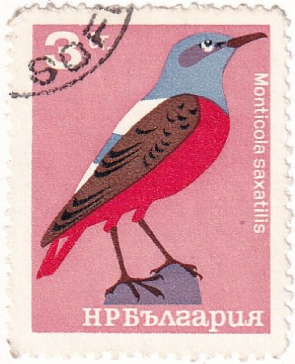 Три марки с изображением птиц, Болгария, 1965