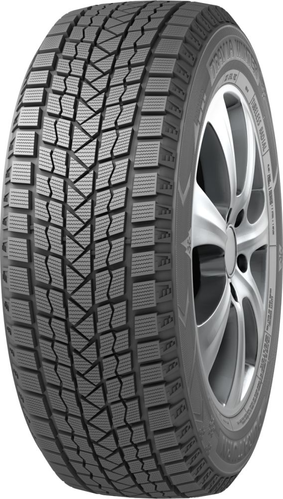 Duraturn Mozzo Winter W2 215/45 R17 91H