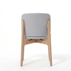 Дизайнерский стул LOTUS tesla 13