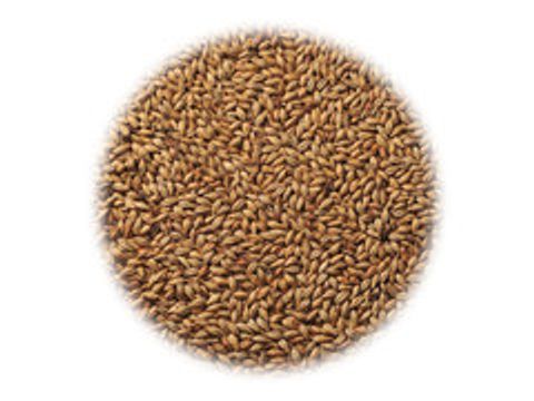 Солод Dingemans Biscuit