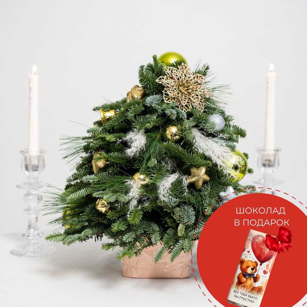 "Зимняя сказка"