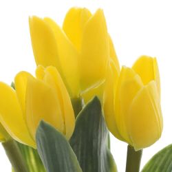 GAEM Цветочная композиция "Тюльпаны", L10 W13 H28 см