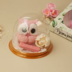 Набор "Мудрый совенок"