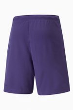 Шорты Puma teamRISE