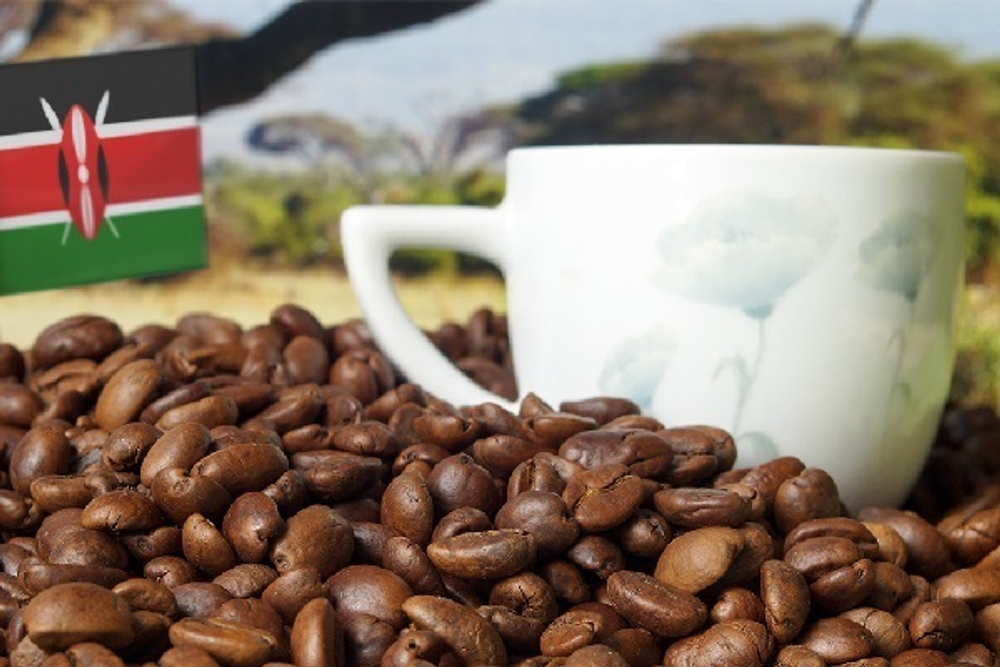 Кофе в зернах Santa Fe Кения АА Арабика 250г