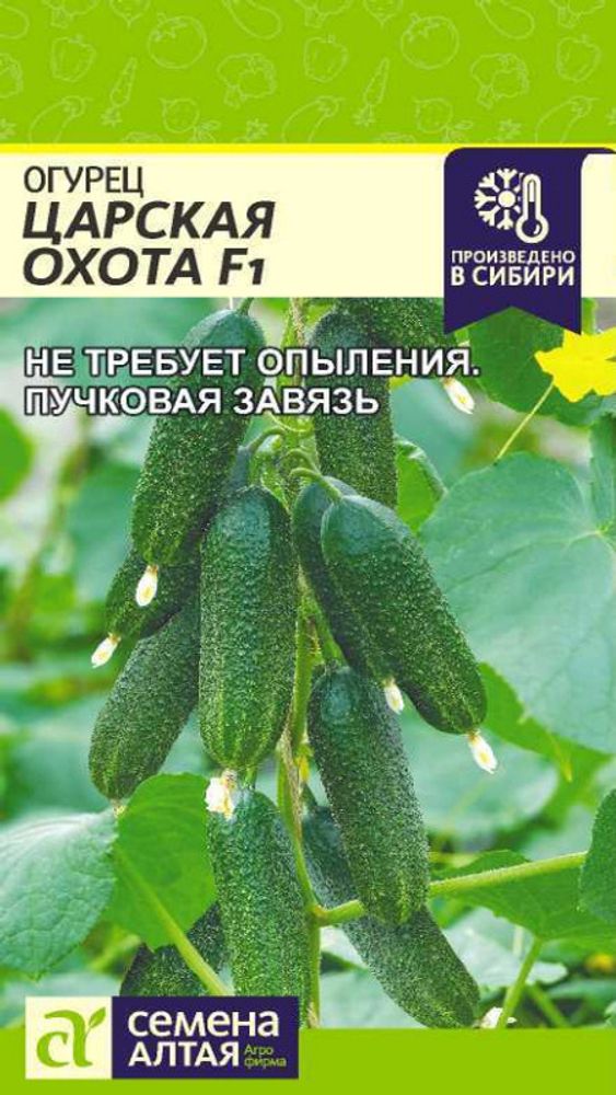 Огурец &quot;G. Царская Охота F1&quot; 5шт, Россия.
