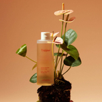 Антивозрастной тонер с женьшенем и пептидами Fraijour Alchemic Ginsenoside Herbal Rx Toner