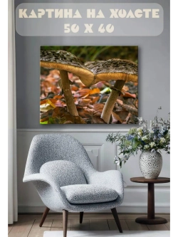 Картина на стену 40 X 50 Грибы