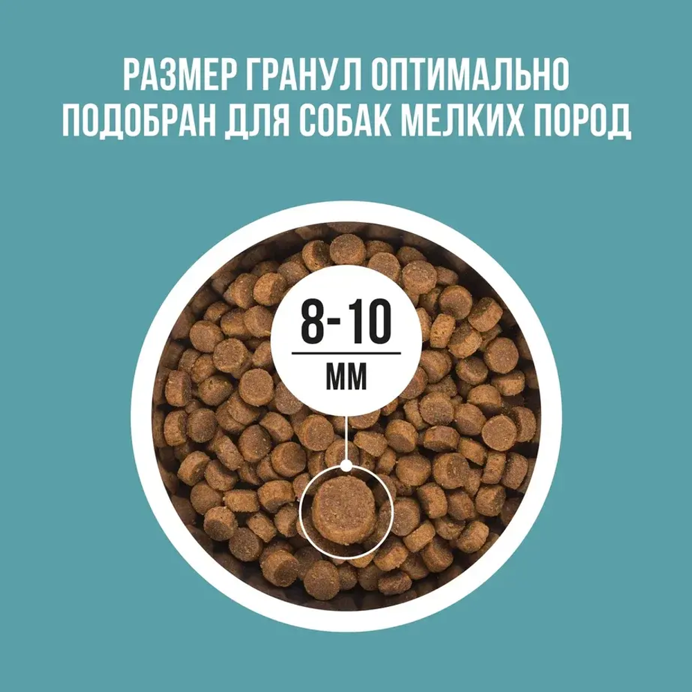 Сухой корм для собак мелких пород с индейкой, рисом, розмарином BOWL WOW 5кг