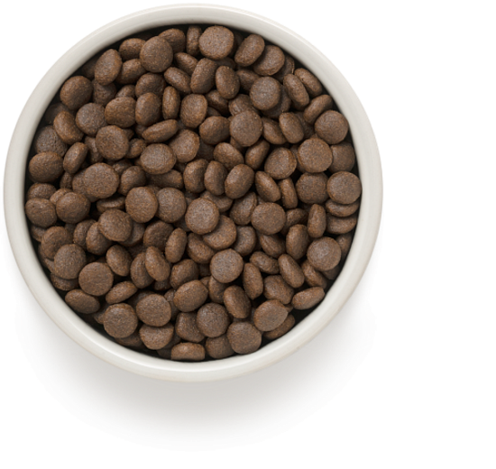 GRANDORF 4 вида мяса Для средних и крупных пород собак 10 кг