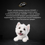 Говядина паштет, 85г влажный корм для собак, Cesar